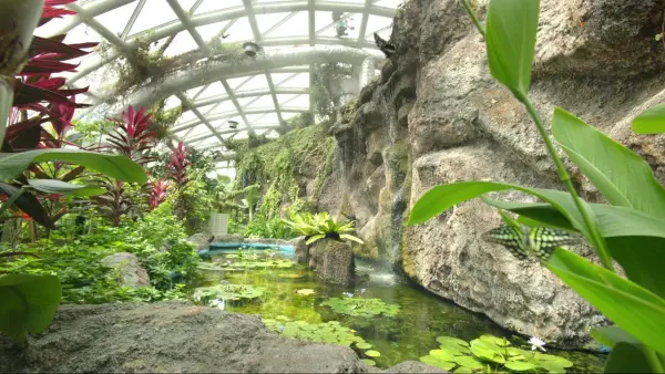 Konya Butterfly Garden, Türkiye
